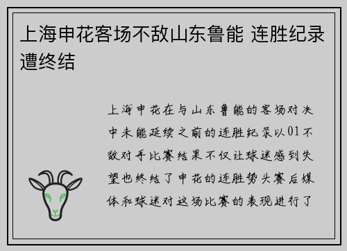 上海申花客场不敌山东鲁能 连胜纪录遭终结