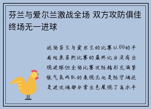 芬兰与爱尔兰激战全场 双方攻防俱佳终场无一进球
